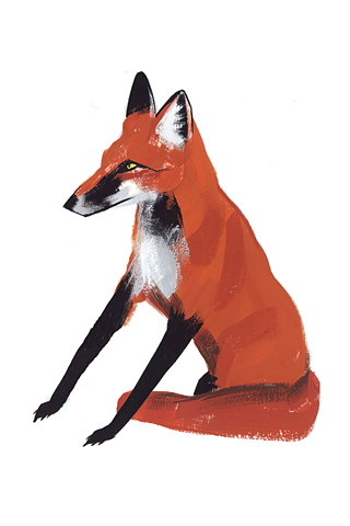 Red Fox by Ping Zhu