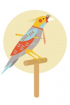 The Art Cuckoo by Pierluigi Riccio