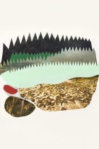Forest by Tom Edwards | The Mammoth Collection