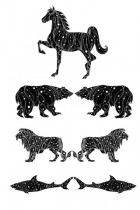 The Constellation of the Animals by Alex Beeching