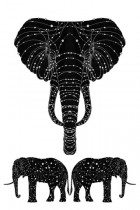 The Constellation of the Elephant by Alex Beeching