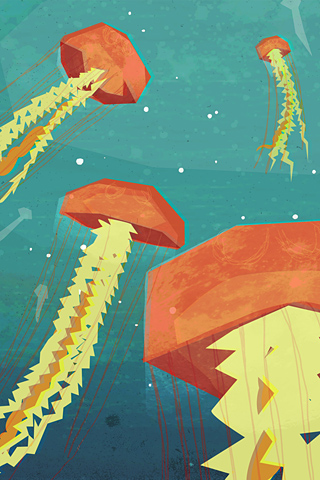 Jellyfish 2 by Kerry Hyndman