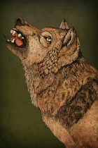Snarl by Sandra Dieckmann
