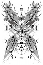 Moth Symmetry 2 by Lucy Joy