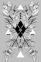 Moth Symmetry 1 by Lucy Joy