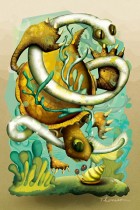 Food Chain: Sea by E.W. Thomason