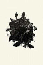 Poolga 2 by Ross McEwan