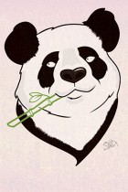 Panda by Justina Bailey
