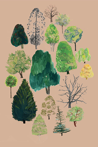 Woods by Rosie Gainsborough