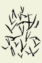 The Birds by KLINK