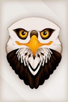 Eagle by Rob Kemerink