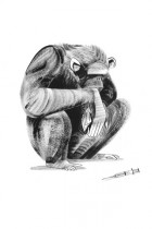 Guinea Chimp by Ping Zhu