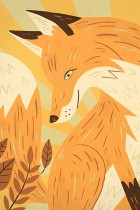 Fox by Owen Davey