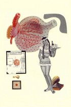 Metabolismo by Mariana Fossatti