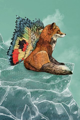 Flying Fox by Sandra Dieckmann