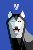Alaskan Husky Portrait by Lumadessa