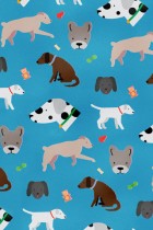 Pups by Liz Meyer