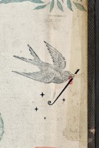 Bird by Emmanuel Polanco