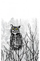 Snow owl by Nate Duval