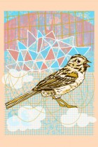 Sparrow by Nate Duval