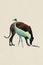 Perogrullo by Collaterages