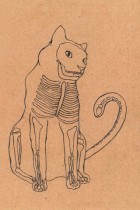 Fiesta Cat by Cat Rocketship