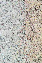 Squidskin 1 by Assaf