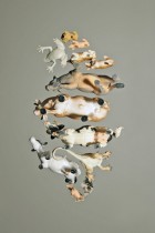 Toy Animals by Brock Davis