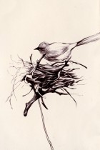Nest by Taylor White