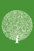 Tree by Judy Kaufmann