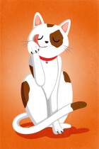 Bath time - Kitty by María Simavilla