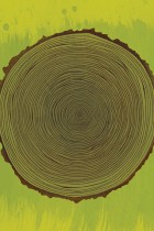 Tree Rings by Brian Everett