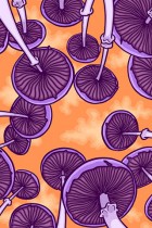 Mushroom Forest
