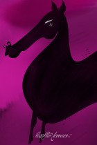 Black Stallion by Laszlito Kovacs