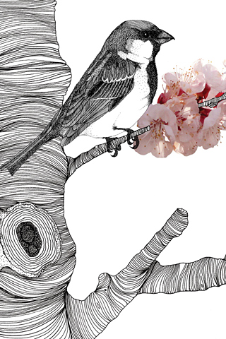 Sparrow Blossom by Daren Newman - Synergy Art