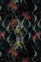 Octopus Trails by Laura Williams