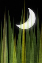 Nature Night by Julia Guther