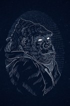 Gorilla by AAAGHR