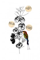 Birdsongs 4 by Chloe Killen