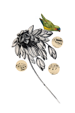 Birdsongs 1 by Chloe Killen